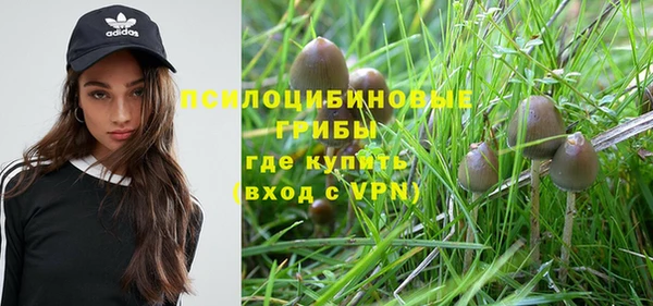 гашиш Бородино